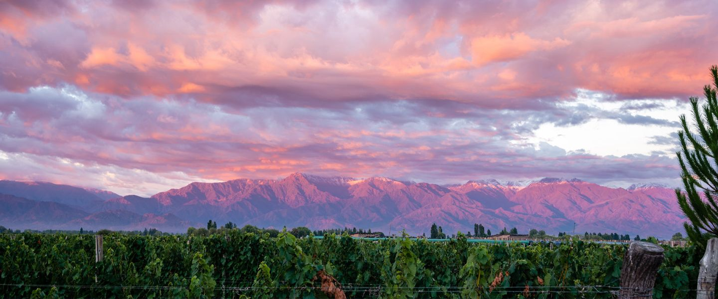 Mendoza